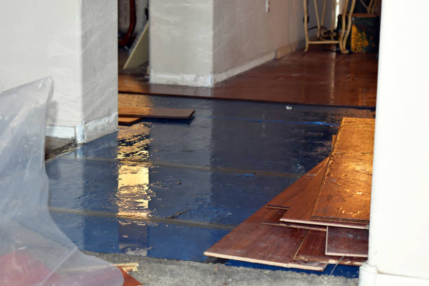 Professional Burst Pipe Water Damage technician working in Carleton, MI